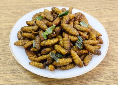 Mutfak ve gıda, Tay geleneksel derin kızarmış Marine Hindistan cevizi solucanlar otlar üzerinde beyaz bir çanak ile. Bir Tayland en popüler sokak gıda.