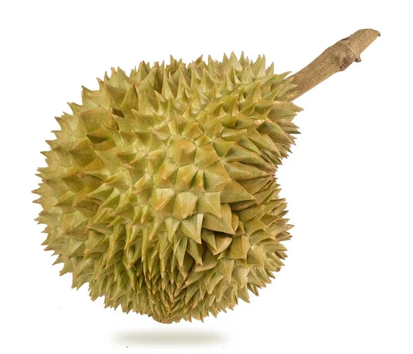 Tropikalne Świeżych Dojrzałych Durian Izolowana Białym Tle Jednym Najbardziej Popularnych — Zdjęcie stockowe