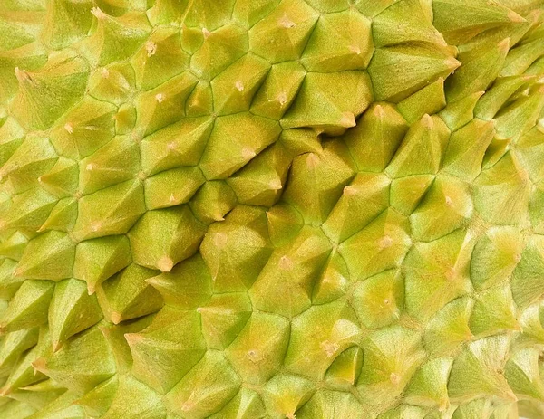 Zbliżenie Tropikalny Świeżych Dojrzałych Durian Jednym Najbardziej Popularnych Owoców Świecie — Zdjęcie stockowe
