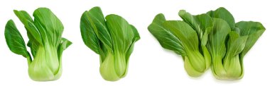 Sebze, lezzetli taze yeşil Bok Choy, Pok Choi veya Pak Choi beyaz arka plan üzerinde izole.