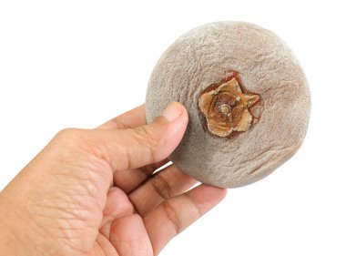 Tropikal meyve, tatlı tutan el Kaki veya beyaz arka plan üzerinde izole Persimmons kurumuş. Popüler aperatifler Doğu Asya'da. Mükemmel bir C vitamini kaynağı.