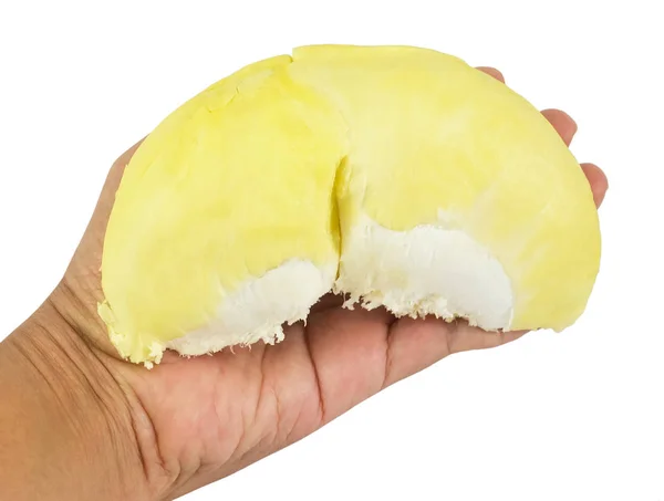 Ręka Trzyma Świeżych Dojrzałych Durian Izolowana Białym Tle Jednym Najbardziej — Zdjęcie stockowe