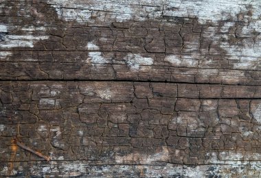 Arka plan deseni, yatay ahşap tahıl eski paslı çivi ile kahverengi. Kopya alanı dekore edilmiş metin için.