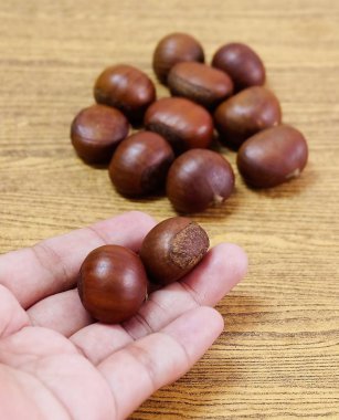 Gıda ve yemekleri, lezzetli kavrulmuş kestane tutan el. Yüksek C vitamini ve piridoksin, folat, Riboflavin, tiamin Vitamin B.