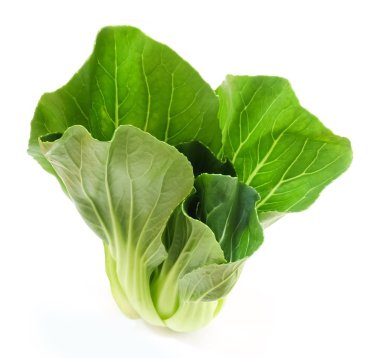 Sebze, lezzetli taze yeşil Bok Choy, Pok Choi veya Pak Choi beyaz arka plan üzerinde izole.