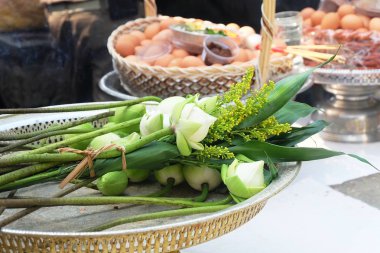 Güzel çiçek, Lotus veya nilüfer çiçek ve birçok gıdada Buda saygı ödemek hazırlanıyor.