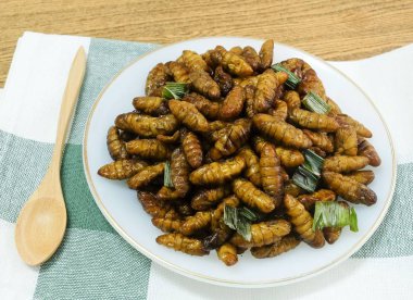 Mutfak ve gıda, Tay geleneksel derin kızarmış Marine Hindistan cevizi solucanlar otlar üzerinde beyaz bir çanak ile. Bir Tayland en popüler sokak gıda.