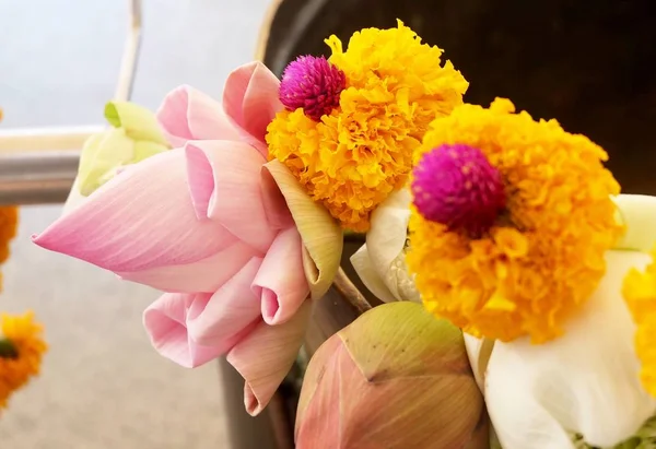 Bouddhiste Mettre Lotus et Fleurs de souci à Bouddha — Photo