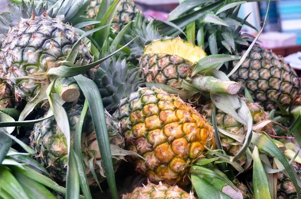 Montón de piñas frescas y dulces ecológicas —  Fotos de Stock