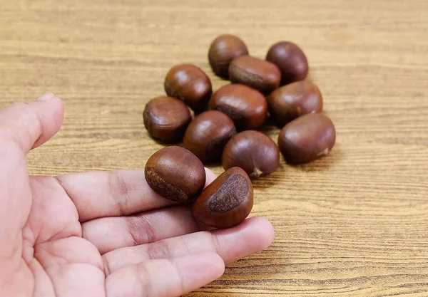 Mano che tiene castagne arrosto da piccolo vetro — Foto Stock