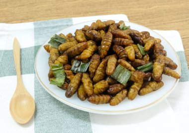 Beyaz Çanak Üzerinde Derin Kızarmış Hindistan Cevizi Worms