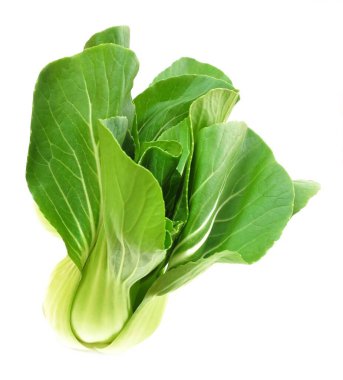 Taze Yeşil Bok Choy Beyaz Arkaplanda