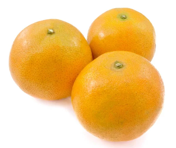Tres naranjas frescas sobre fondo blanco —  Fotos de Stock