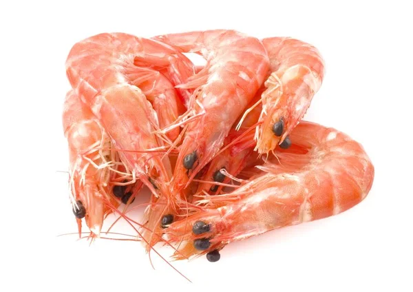 Crevettes cuites ou crevettes tigrées dans une assiette blanche — Photo