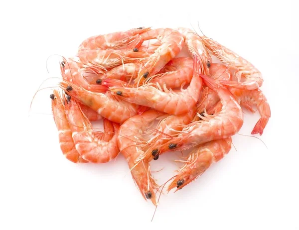 Crevettes cuites ou crevettes tigrées dans un plateau — Photo