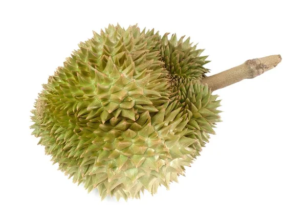 Läckra färska mogna Durian på vit bakgrund — Stockfoto