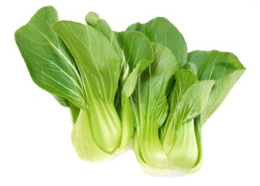 Taze Yeşil Bok Choy Beyaz Arkaplanda