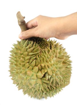 El Tutma Taze Olgun Durian Beyaz Arkaplanda
