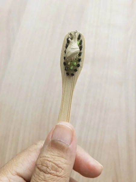 Mão Segurando Escovas Dentes Bambu Madeira Com Pasta Dentes Ervas — Fotografia de Stock