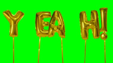 Evet altın helyum balon harfler yeşil ekran üzerinde yüzen Word'den