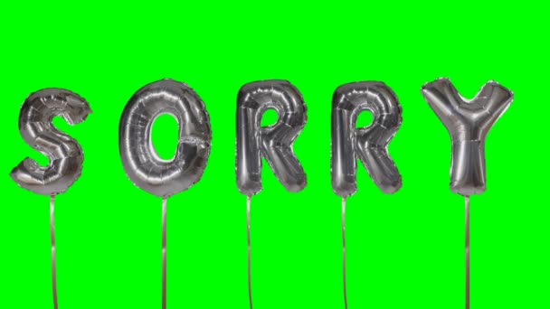 Ordet förlåt från helium silver ballong bokstäver flyter på grön skärm — Stockvideo
