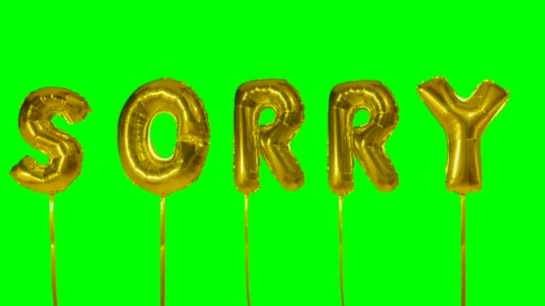 Słowo przepraszam od helu złote litery balon unoszące się na zielony ekran — Wideo stockowe