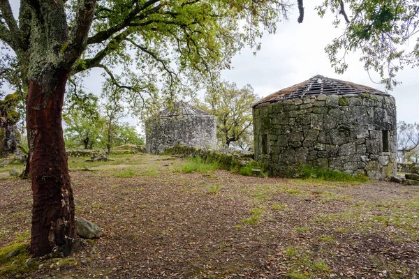 Guimaraes Portugal May 2018 Citadel Briteiros Archaeological Site Iron Age — Stock Photo, Image