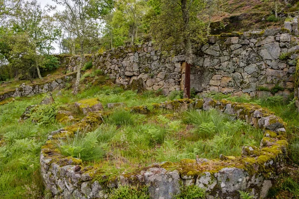 Guimaraes 포르투갈 2018 Briteiros의 요새의 고고학 사이트입니다 Guimaraes 포르투갈 — 스톡 사진