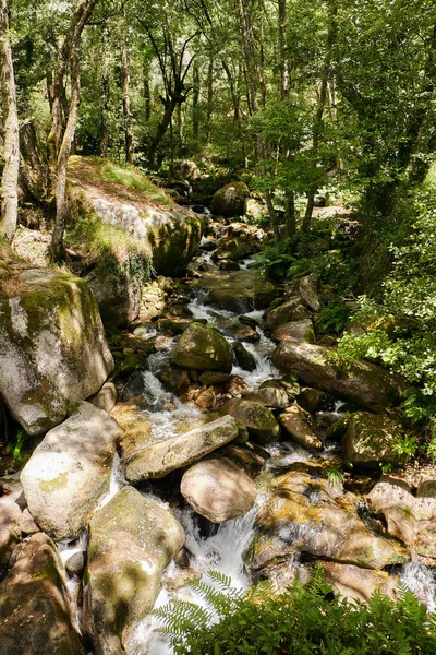 Bancos Rio Vizela Aldeia Pontido Antes Chegar Barragem Queimadela Fafe — Fotografia de Stock