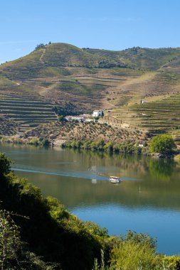 Pezosu da Regua, Portekiz - 05 Ekim 2018: Douro nehir, Vila Real, Portekiz turist taşıyan tekne
