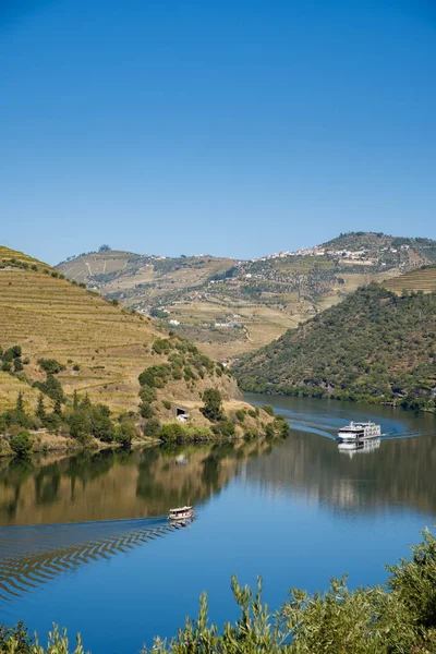 Pezosu Regua Portekiz Ekim 2018 Douro Nehir Vila Real Portekiz — Stok fotoğraf