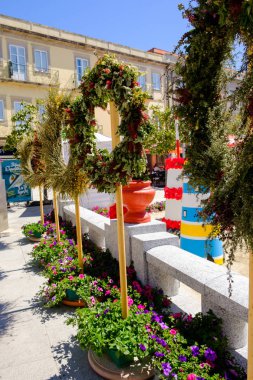 Vila Praia de Âncora em flor