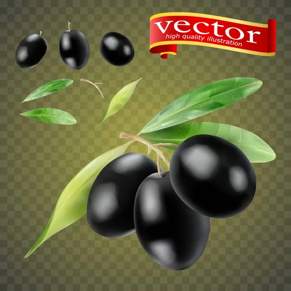 Conjunto de aceitunas negras aisladas sobre fondo blanco como elementos de diseño de paquete — Vector de stock