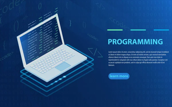 Programação Desenvolvimento Software Código Programa Tela Laptop Processamento Big Data — Vetor de Stock