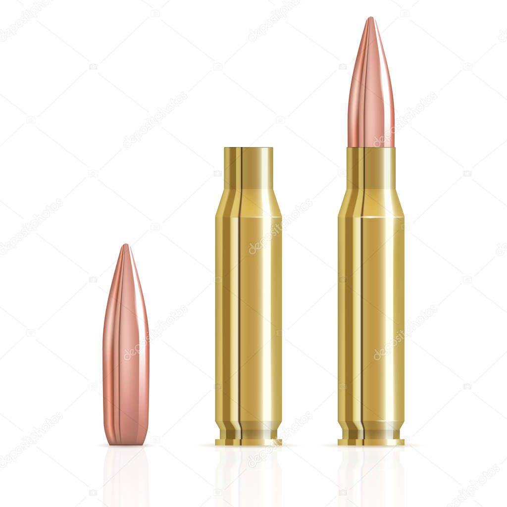 Realistic ammunition cartridge vector illustration. Ammunition bullets on white background. Bullets and cartridge case.