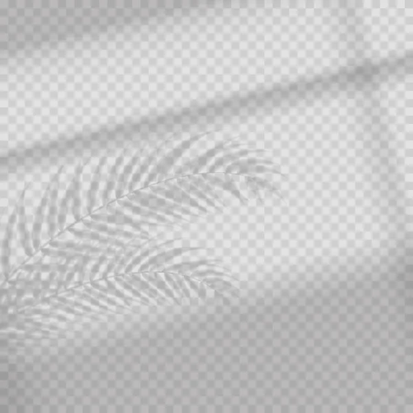 투명 그림자 오버레이 효과. 열대 잎과 창 블라인드. 야자수 잎과 사진 사실적인 그림. — 스톡 벡터