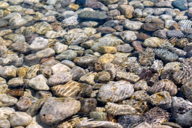 Berrak tatlı su altında kayalık nehir yatağı üst görünümü