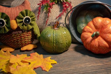 Rustik kabak ve baykuş dekorasyon Güz Şükran 