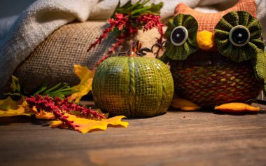 Kabak ve baykuş ile Rustik Sonbahar Şükran dekorasyon 