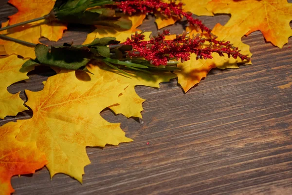 Rustic fall decoration background with copy space