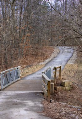 Sonbahar ve kış yapraksız ağaçlar ile ahşap köprü ile Kırsal yol