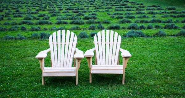 Çiftlik manzaralı avluda iki Adirondack sandalye