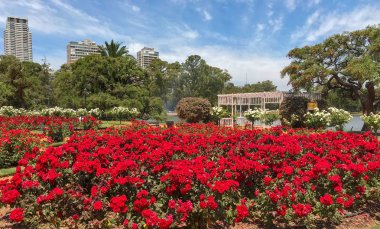 El Rosedal de Palermo Buenos Aires Arjantin Rose Park Palermo Woods Buenos Aires Arjantin  