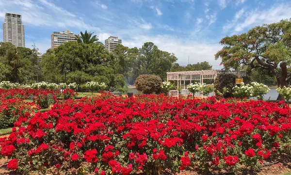 Rosedal Palermo Buenos Aires Argentyna Rose Park Palermo Woods Buenos — Zdjęcie stockowe