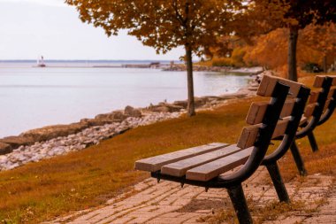 Güz renkleri ve göle bakan bank. 