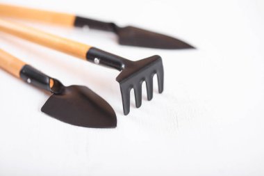 Beyaz bir arka plan üzerinde iç mekan bitkileri için araç kiti.