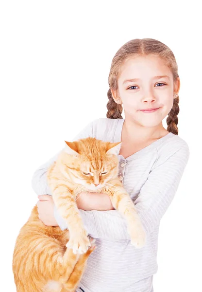 かわいい女の子と彼女の手で赤猫 スタジオ写真 白い背景で隔離 — ストック写真