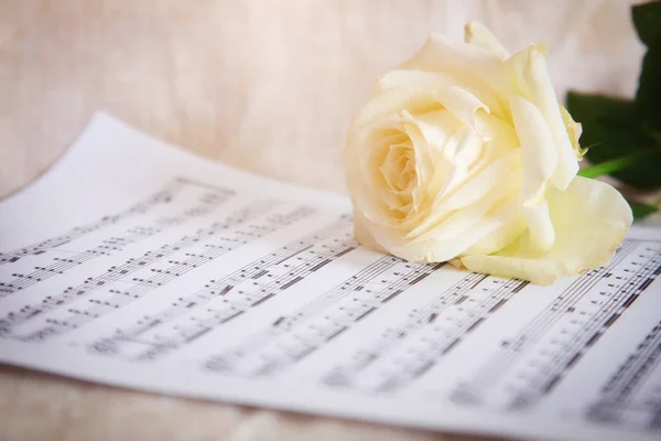 Delicate Achtergrond Met Witte Roos Muzikale Noten Vintage Stijl — Stockfoto