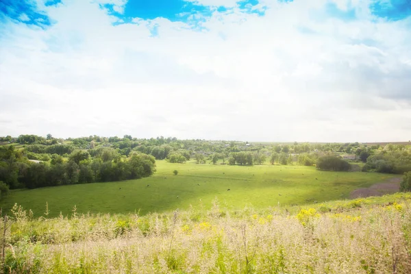 Schöne Sommerlandschaft Himmel Und Grünes Gras Blick Von Oben — Stockfoto