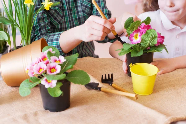 Menina bonito ajuda sua mãe a cuidar de plantas. Fechar . — Fotografia de Stock